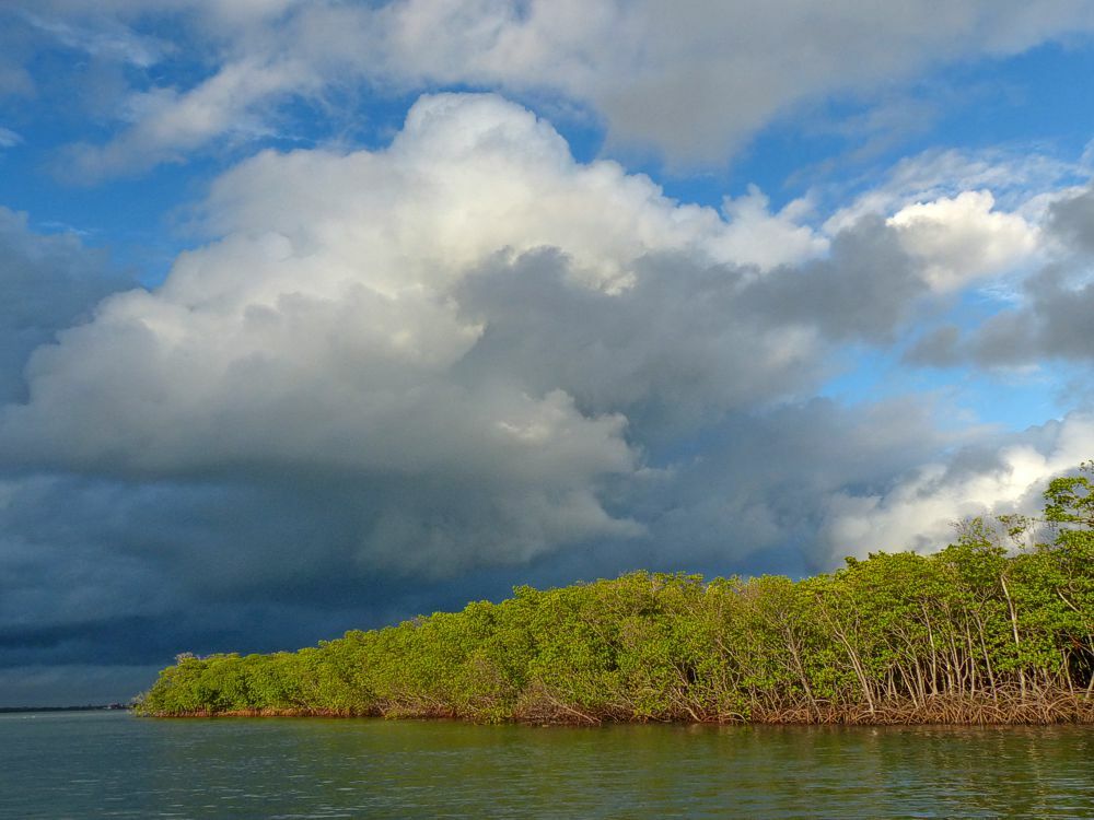 Click to See Next Image